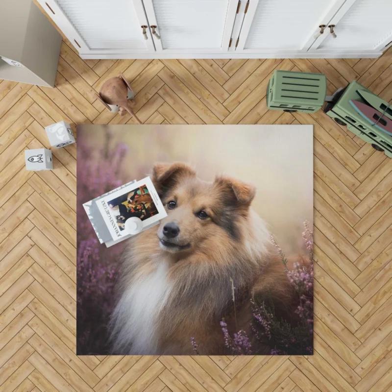 Shetland Sheepdog in Fall Embrace Rug