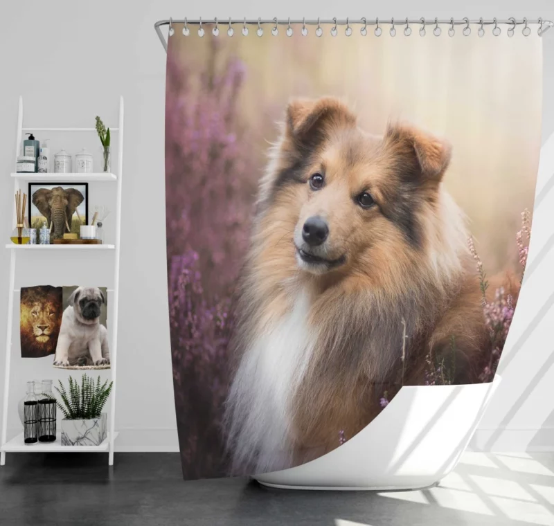 Shetland Sheepdog in Fall Embrace Shower Curtain