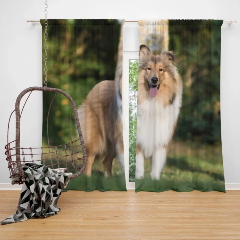 Shetland Sheepdog in Fall Leafy Whimsy Curtain