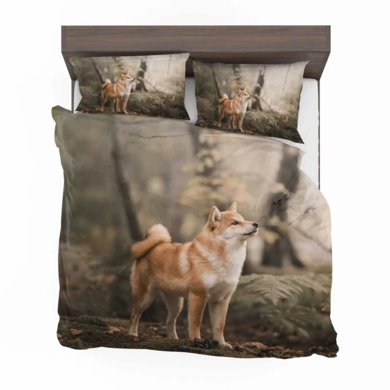 Shiba Inu Depth of Field Gaze Bedding Set 1