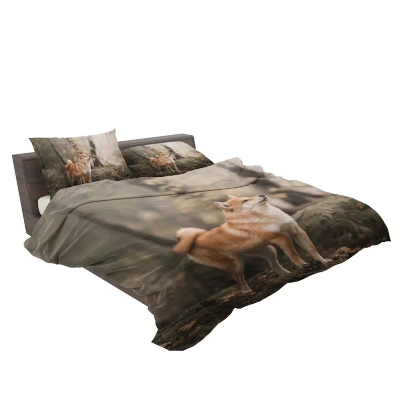 Shiba Inu Depth of Field Gaze Bedding Set 2