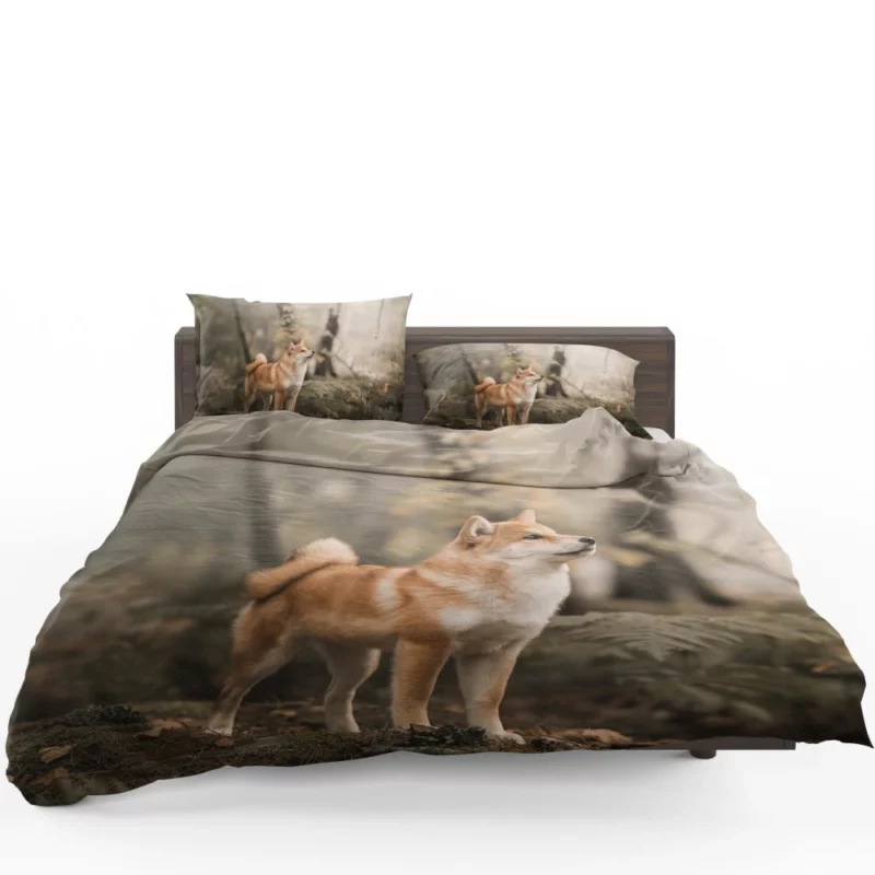 Shiba Inu Depth of Field Gaze Bedding Set