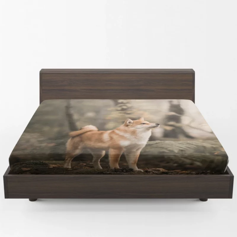 Shiba Inu Depth of Field Gaze Fitted Sheet