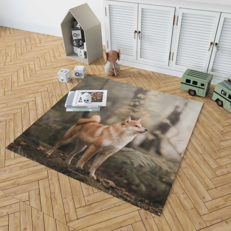 Shiba Inu Depth of Field Gaze Rug 1