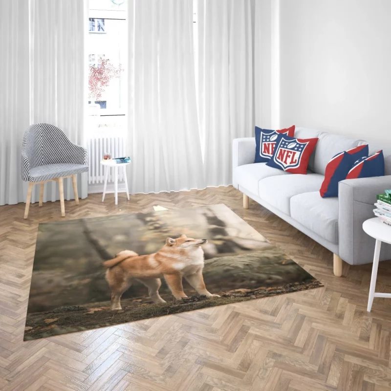 Shiba Inu Depth of Field Gaze Rug 2