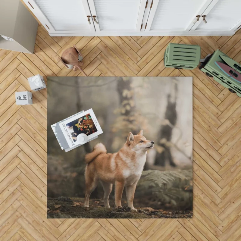 Shiba Inu Depth of Field Gaze Rug