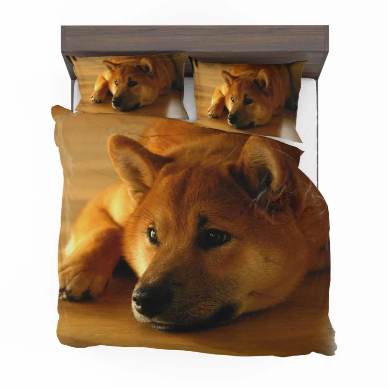 Shiba Inu Restful Gaze Furry Serenity Bedding Set 1