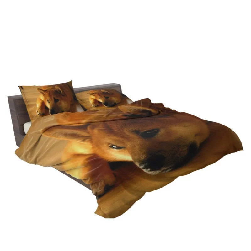 Shiba Inu Restful Gaze Furry Serenity Bedding Set 2