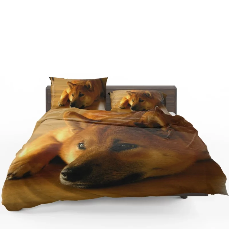 Shiba Inu Restful Gaze Furry Serenity Bedding Set