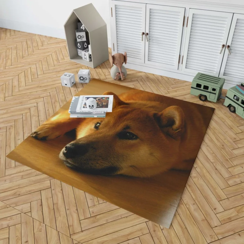 Shiba Inu Restful Gaze Furry Serenity Rug 1