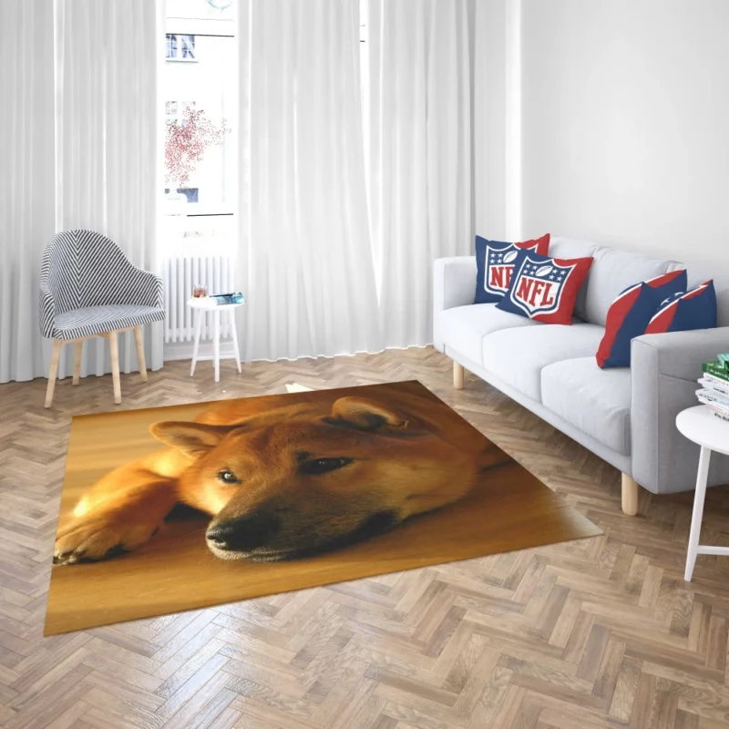 Shiba Inu Restful Gaze Furry Serenity Rug 2