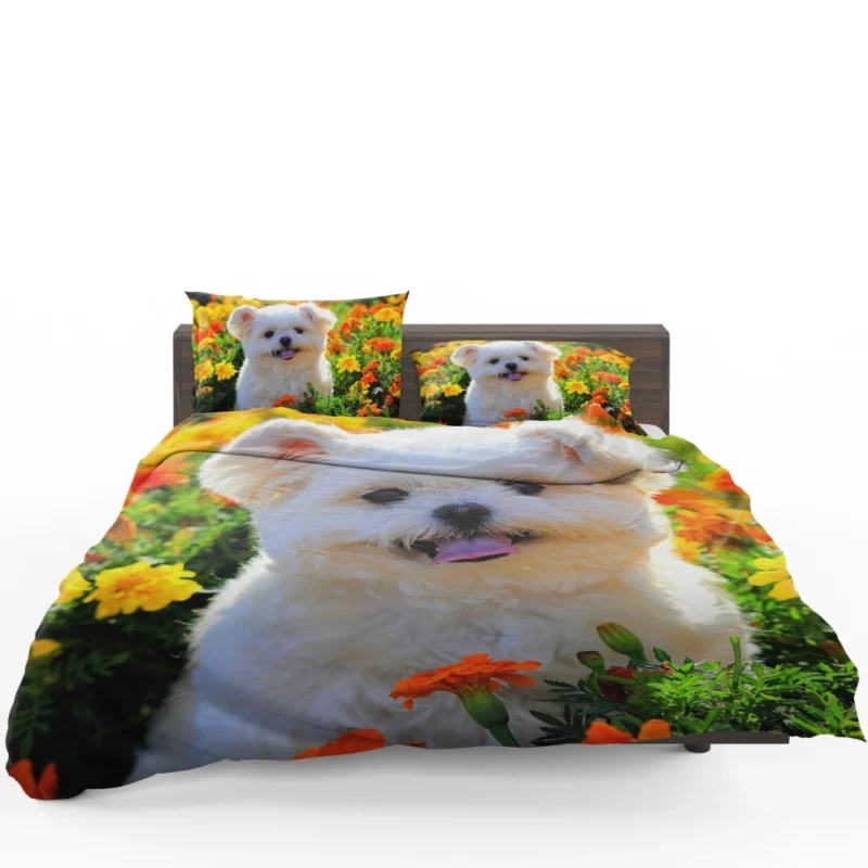 Shih Tzu Puppy Amidst Marigolds Floral Joy Bedding Set