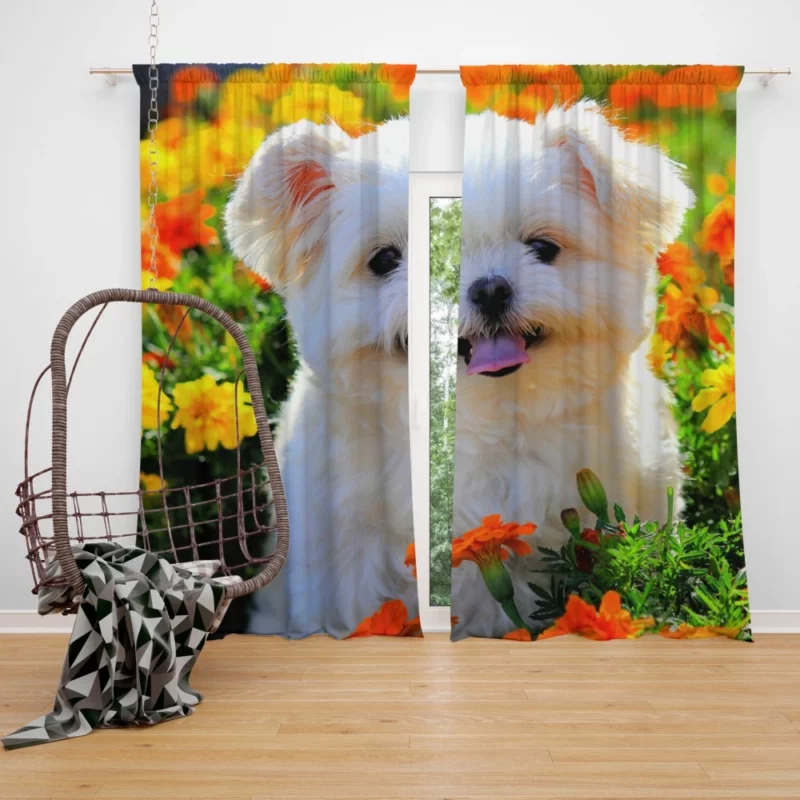 Shih Tzu Puppy Amidst Marigolds Floral Joy Curtain