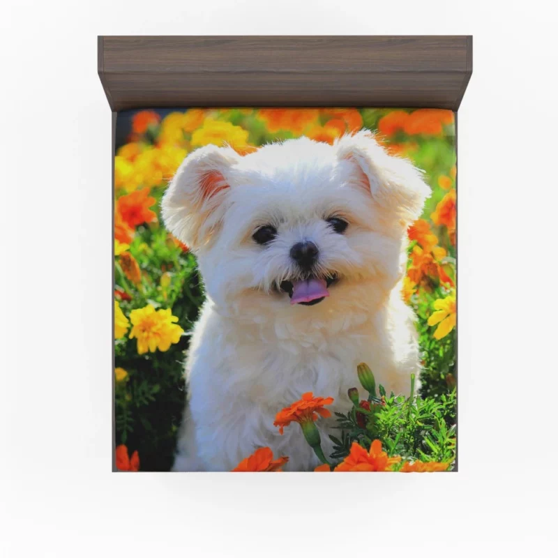 Shih Tzu Puppy Amidst Marigolds Floral Joy Fitted Sheet 1