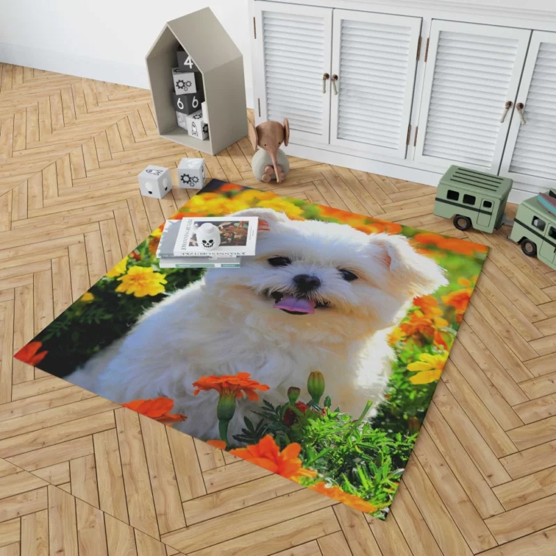 Shih Tzu Puppy Amidst Marigolds Floral Joy Rug 1