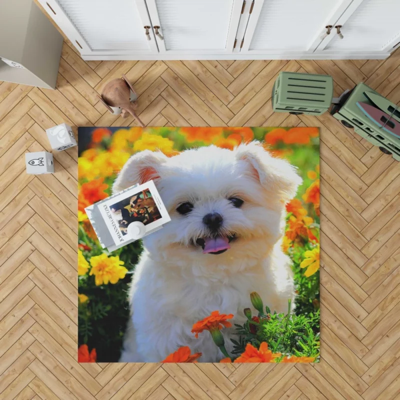 Shih Tzu Puppy Amidst Marigolds Floral Joy Rug