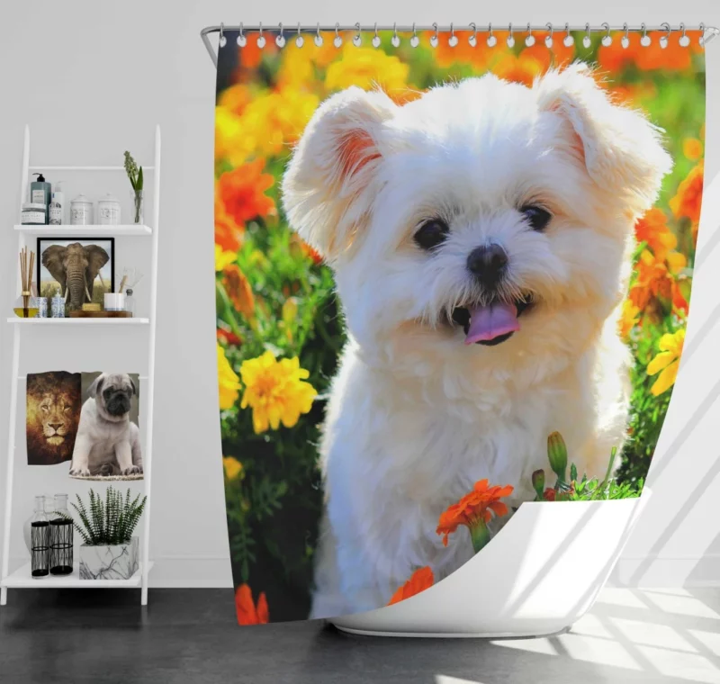 Shih Tzu Puppy Amidst Marigolds Floral Joy Shower Curtain