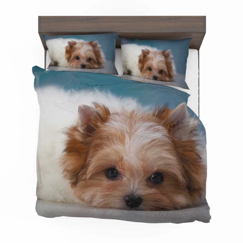 Shih Tzu Puppy Playful Whimsy Bedding Set 1