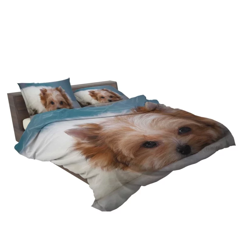 Shih Tzu Puppy Playful Whimsy Bedding Set 2