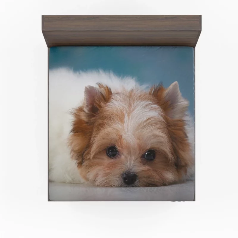 Shih Tzu Puppy Playful Whimsy Fitted Sheet 1