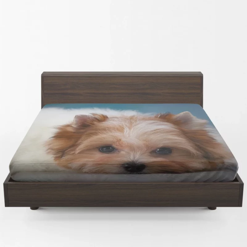 Shih Tzu Puppy Playful Whimsy Fitted Sheet