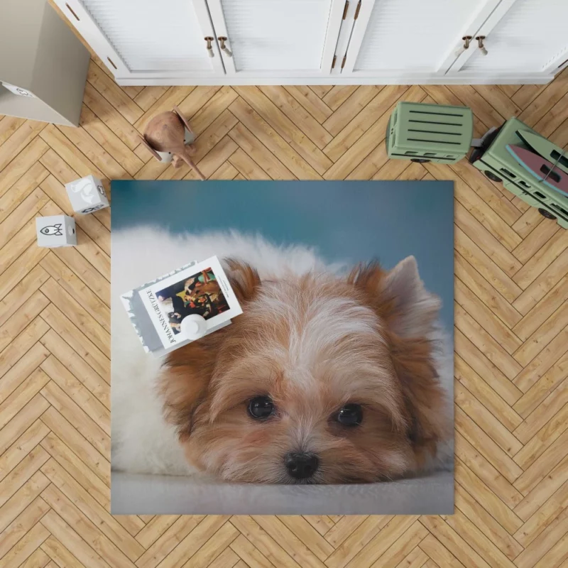 Shih Tzu Puppy Playful Whimsy Rug