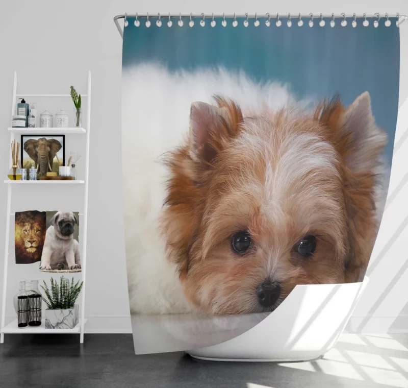 Shih Tzu Puppy Playful Whimsy Shower Curtain