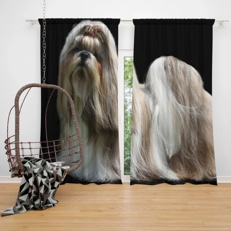 Shih Tzu Toy Breed Delight Curtain