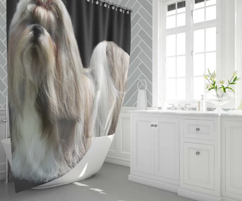 Shih Tzu Toy Breed Delight Shower Curtain 1