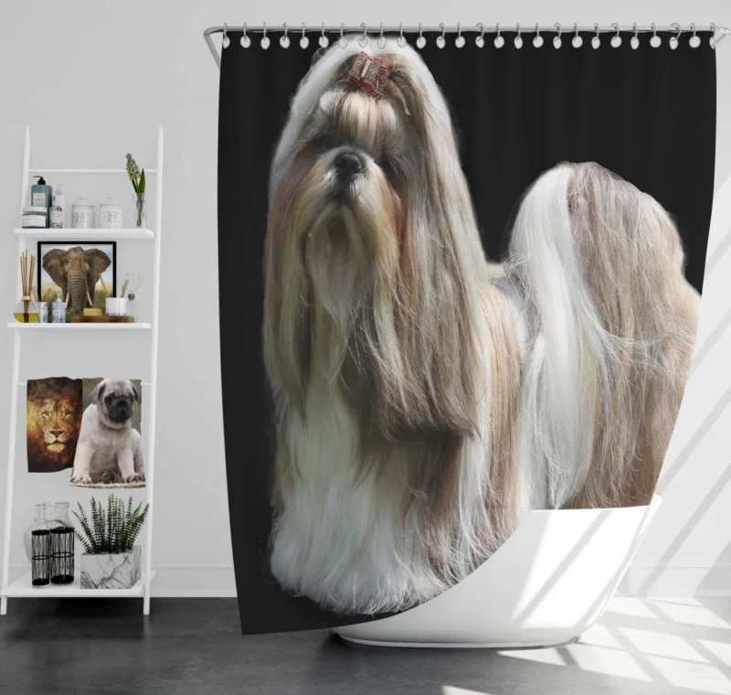 Shih Tzu Toy Breed Delight Shower Curtain