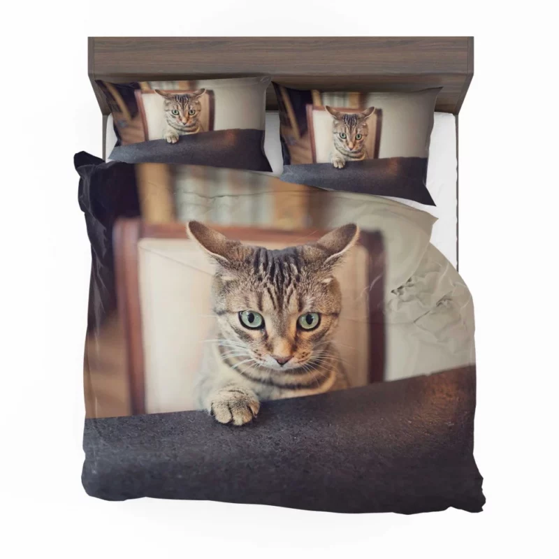 Siamese Cutie Feline Joy in Hat Bedding Set 1