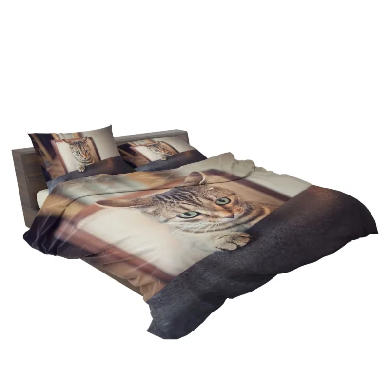 Siamese Cutie Feline Joy in Hat Bedding Set 2