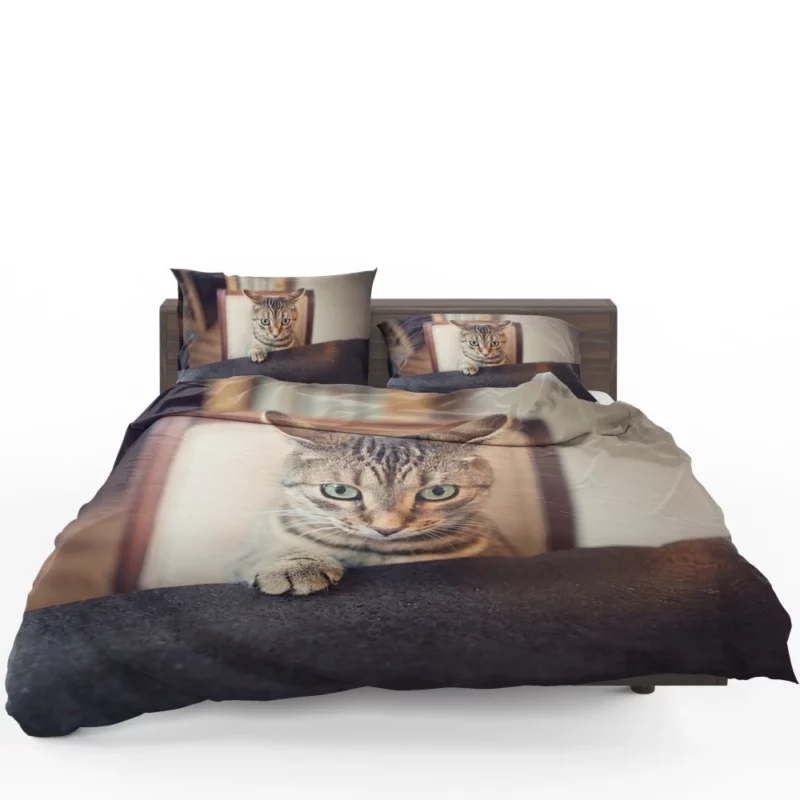 Siamese Cutie Feline Joy in Hat Bedding Set