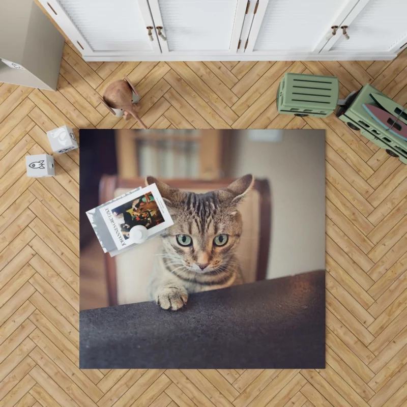 Siamese Cutie Feline Joy in Hat Rug