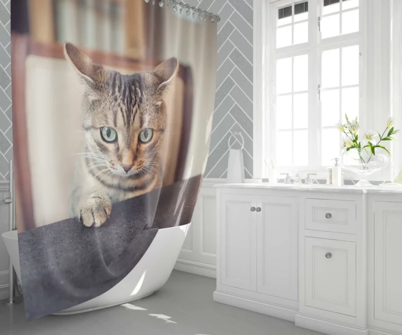 Siamese Cutie Feline Joy in Hat Shower Curtain 1