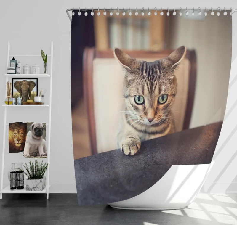 Siamese Cutie Feline Joy in Hat Shower Curtain