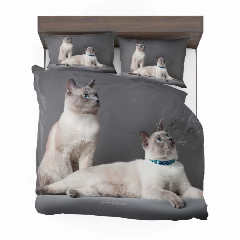 Siamese Duo Feline Companionship Bedding Set 1