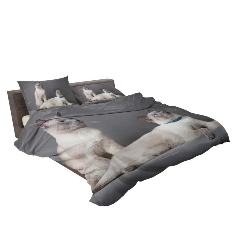 Siamese Duo Feline Companionship Bedding Set 2