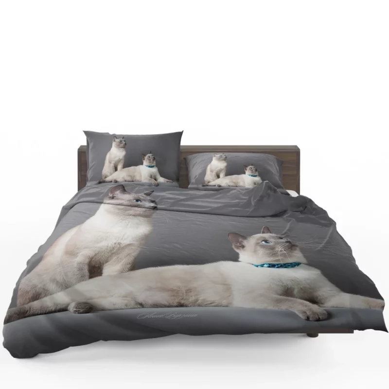 Siamese Duo Feline Companionship Bedding Set