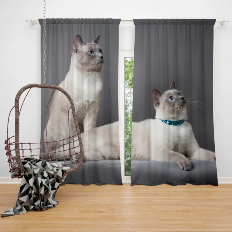 Siamese Duo Feline Companionship Curtain