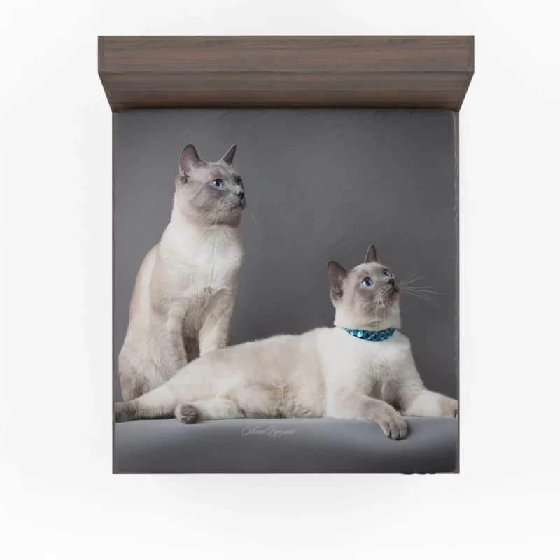 Siamese Duo Feline Companionship Fitted Sheet 1