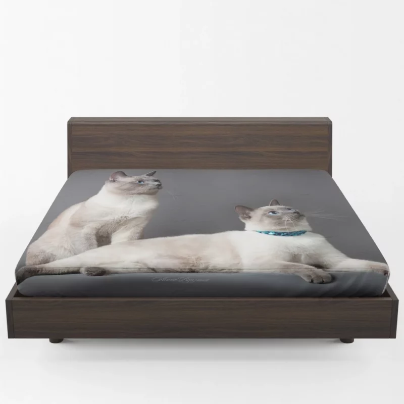 Siamese Duo Feline Companionship Fitted Sheet