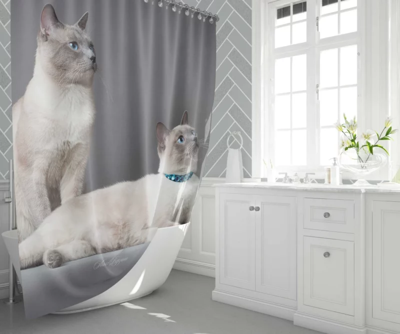 Siamese Duo Feline Companionship Shower Curtain 1