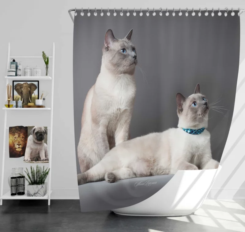 Siamese Duo Feline Companionship Shower Curtain