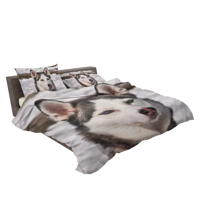 Siberian Husky Arctic Charm Furry Companion Bedding Set 2