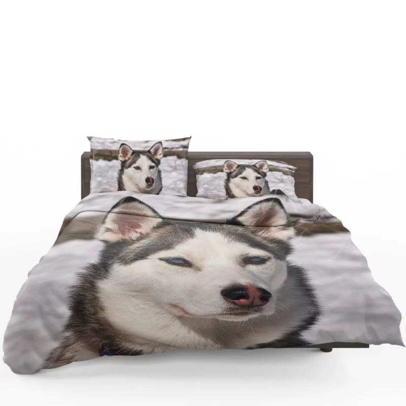 Siberian Husky Arctic Charm Furry Companion Bedding Set