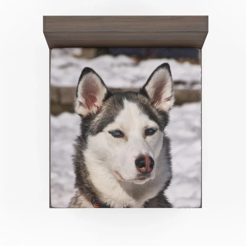 Siberian Husky Arctic Charm Furry Companion Fitted Sheet 1