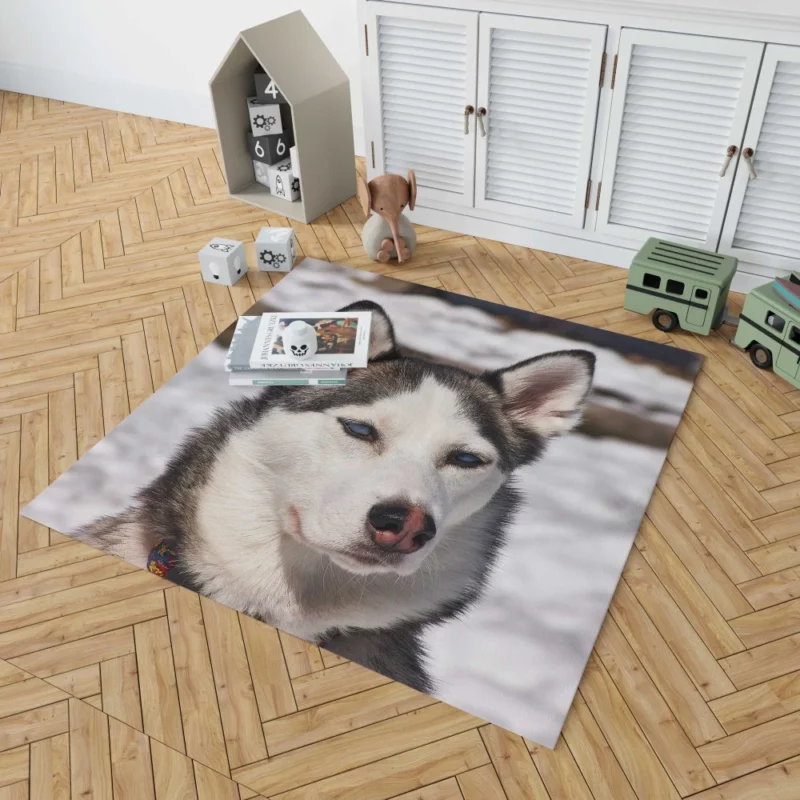 Siberian Husky Arctic Charm Furry Companion Rug 1