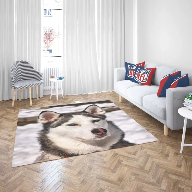 Siberian Husky Arctic Charm Furry Companion Rug 2