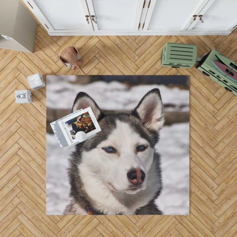 Siberian Husky Arctic Charm Furry Companion Rug